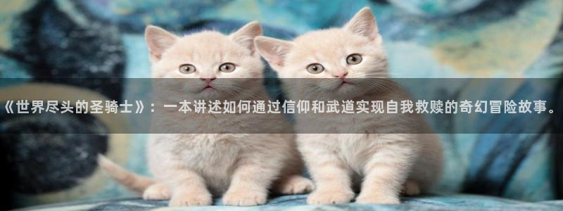 歪歪漫画韩国：《世界尽头的圣骑士》：一本讲述如何通过信仰和武道实现自我救赎的奇幻冒险故事。
