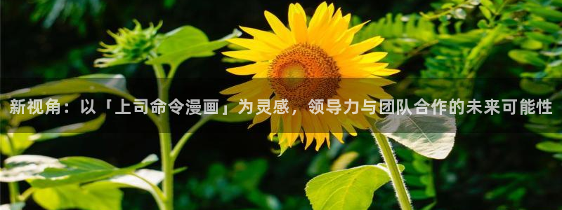 歪歪漫画免费版在线：新视角：以「上司命令漫画」为灵感，领导力与团队合作的未来可能性