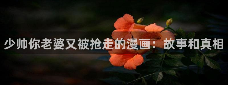好看的漫画歪歪漫画：少帅你老婆又被抢走的漫画：故事和真相