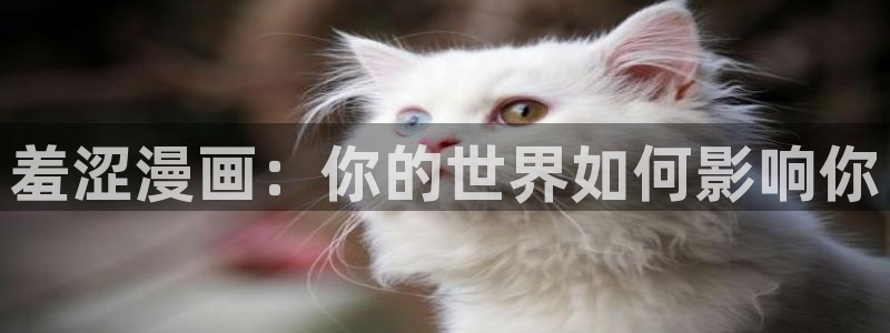 歪歪漫画www：羞涩漫画：你的世界如何影响你