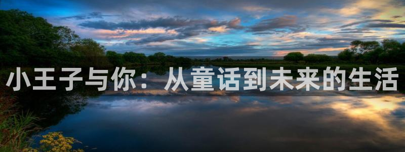 歪歪漫画网站最新登录入口：小王子与你：从童话到未来的生活
