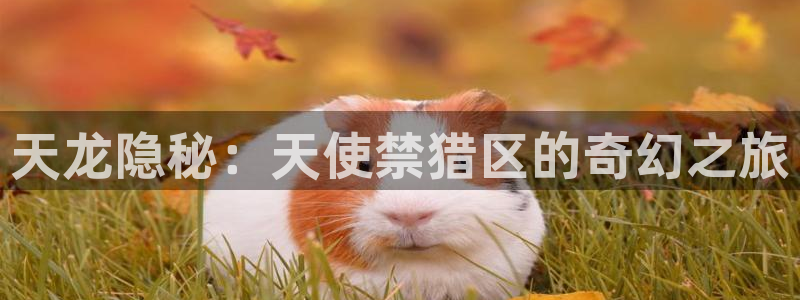 歪歪漫画s：天龙隐秘：天使禁猎区的奇幻之旅