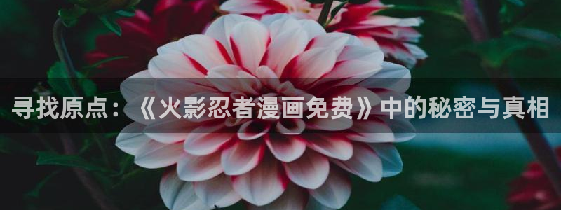 歪歪漫画网免费在线观看：寻找原点：《火影忍者漫画免费》中的秘密与真相