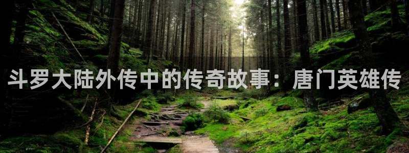 歪歪漫画在线的：斗罗大陆外传中的传奇故事：唐门英雄传