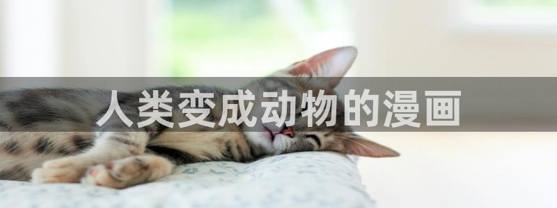 歪歪漫画入口处