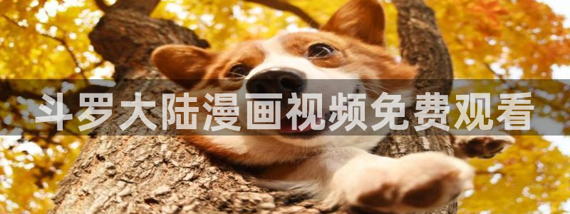 纲手被歪歪漫画漫画