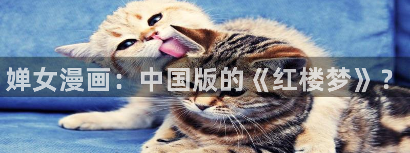 韩国歪歪漫画在线看