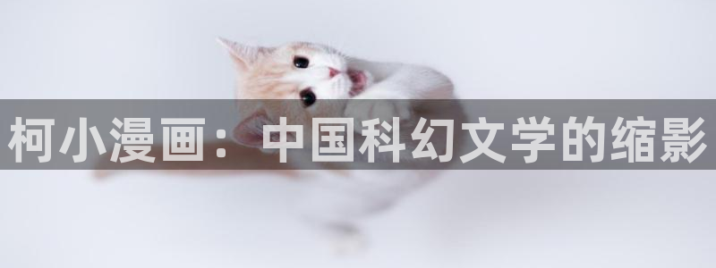 歪歪漫画下拉式在线观看