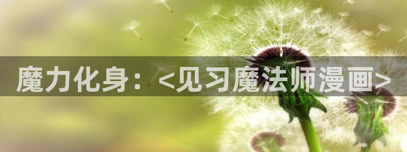 歪歪漫画进入韩国首页