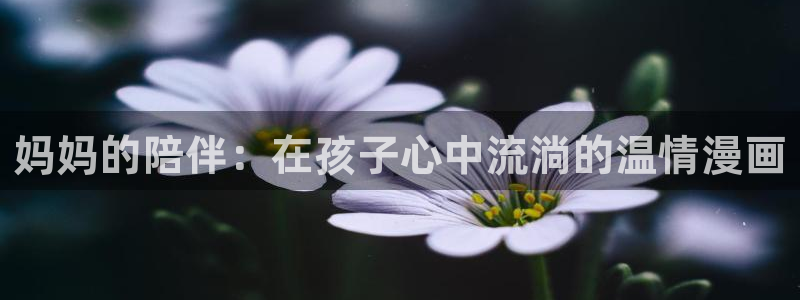 歪歪漫画韩国