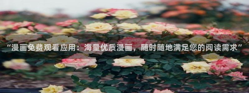 歪歪漫画在线观看页面免费入口