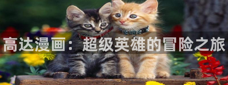 歪歪漫画入口平台