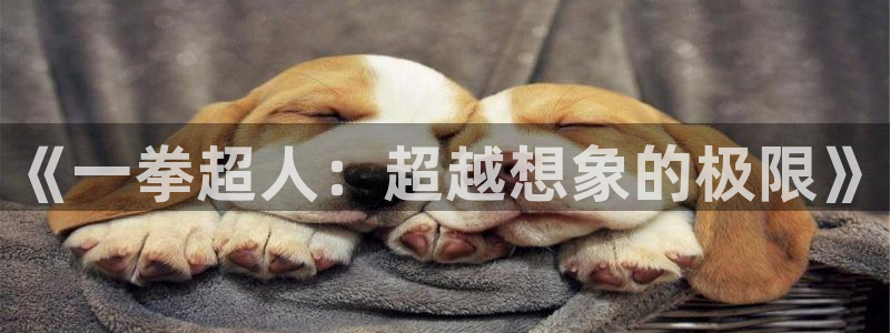歪歪漫画韩漫网址